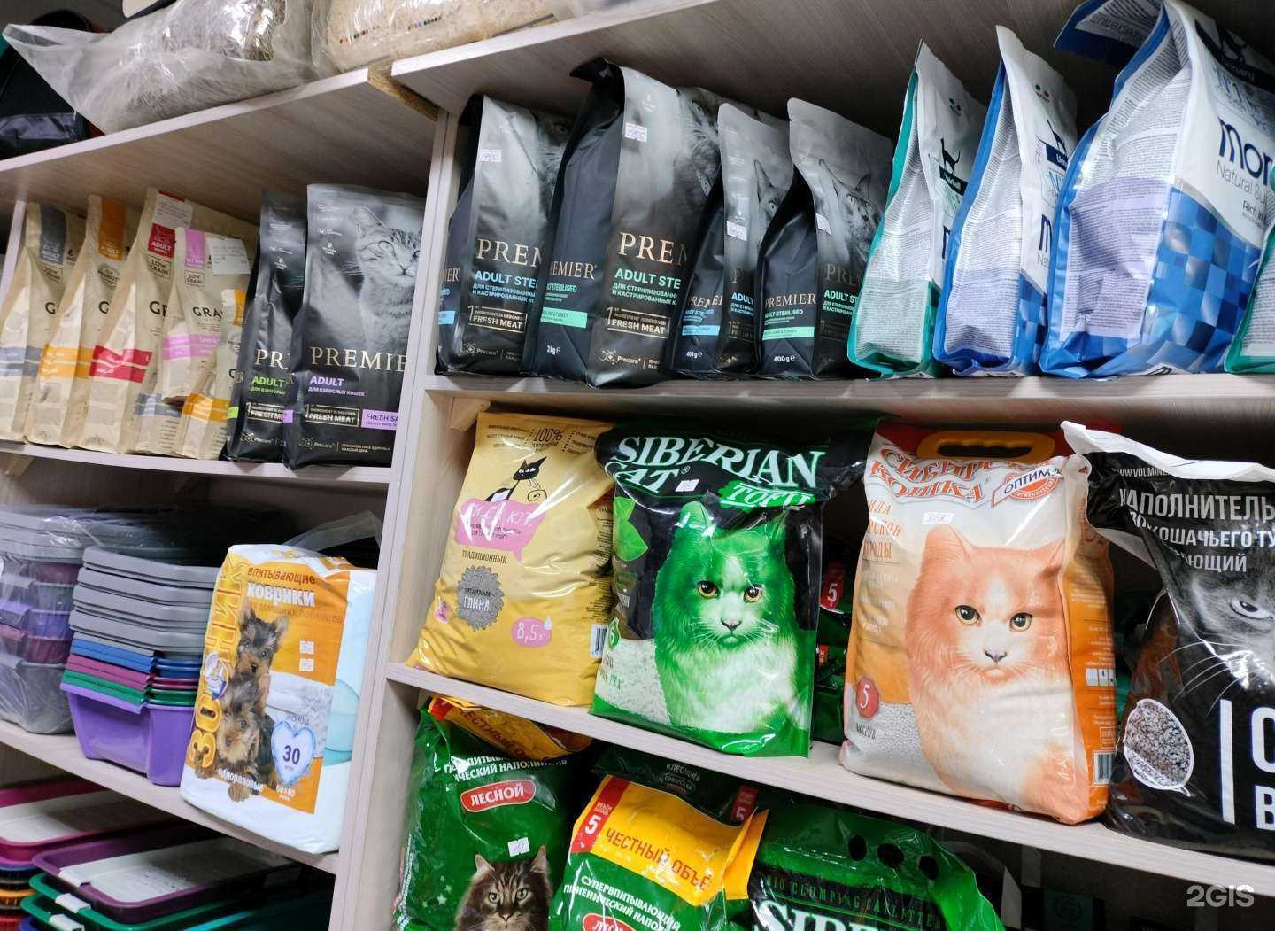 Отзывы на компанию Котопёс в Пятигорске c фото