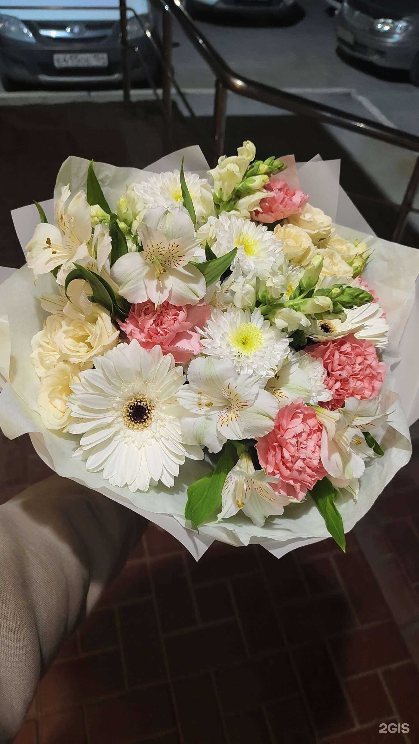 Отзывы на компанию Iris в Новосибирске c фото