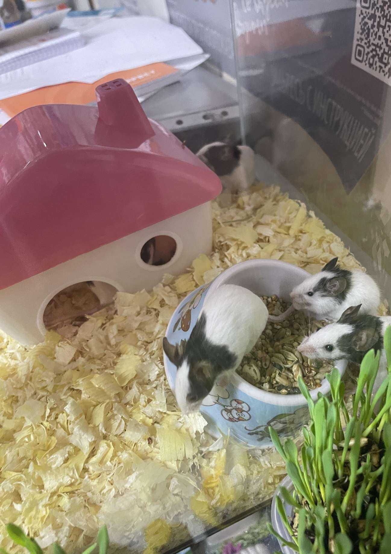 Отзывы на компанию Магазин зоотоваров и товаров для рыбалки в г. Краснодар c фото