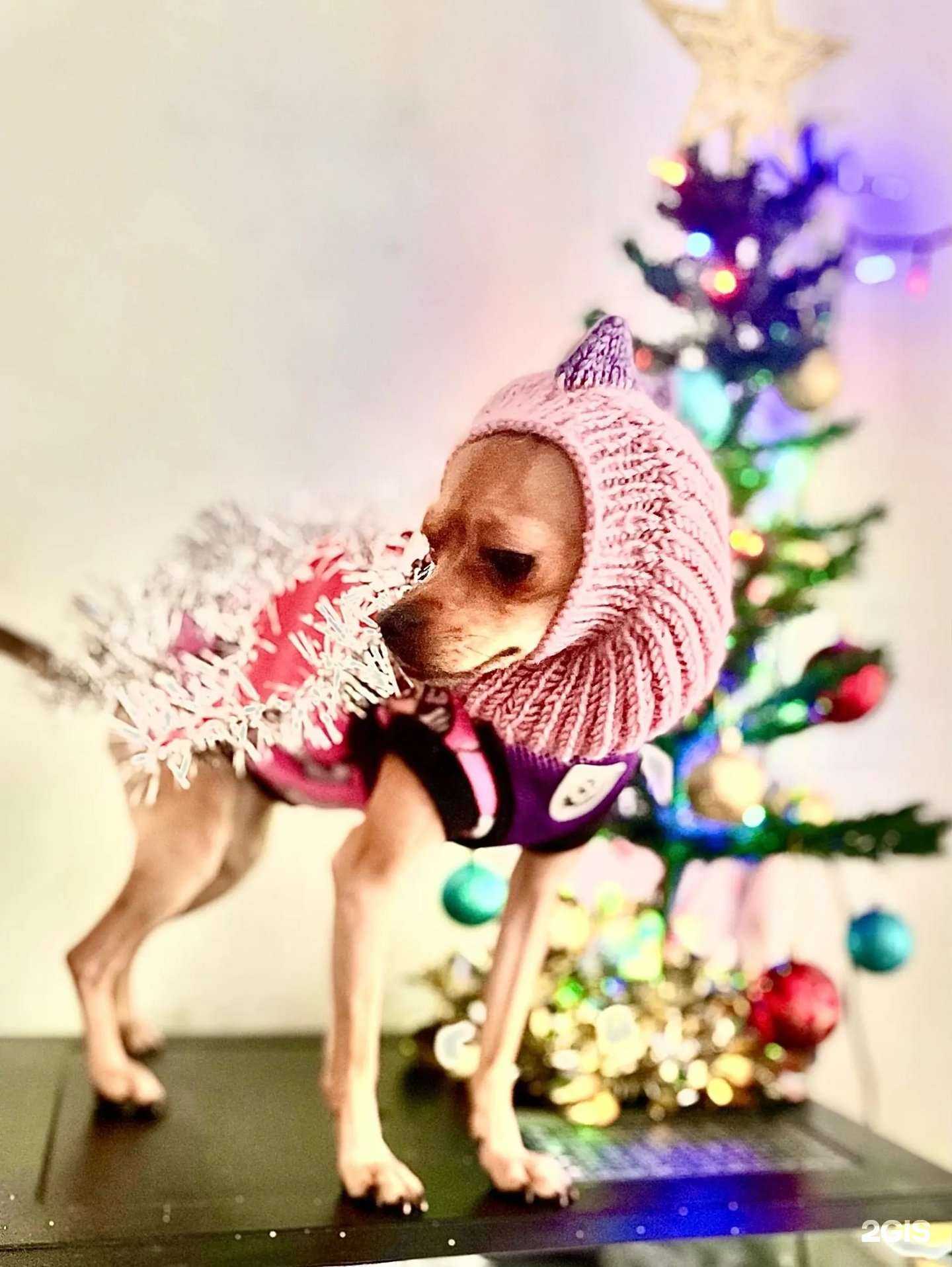 Отзывы на компанию Кузнечанка в Барнауле c фото