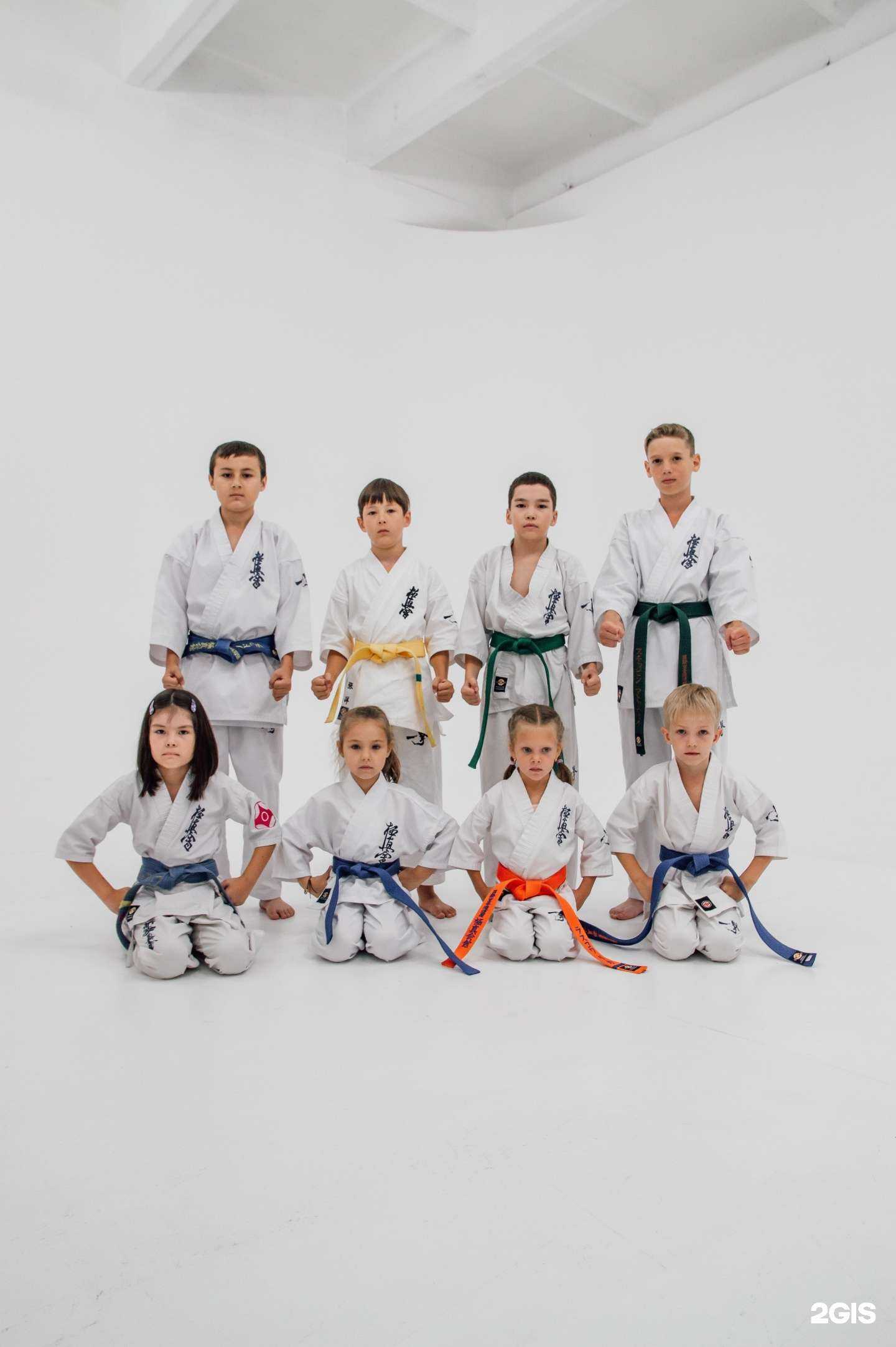 Отзывы на компанию San-rin dojo в г. Новосибирск c фото