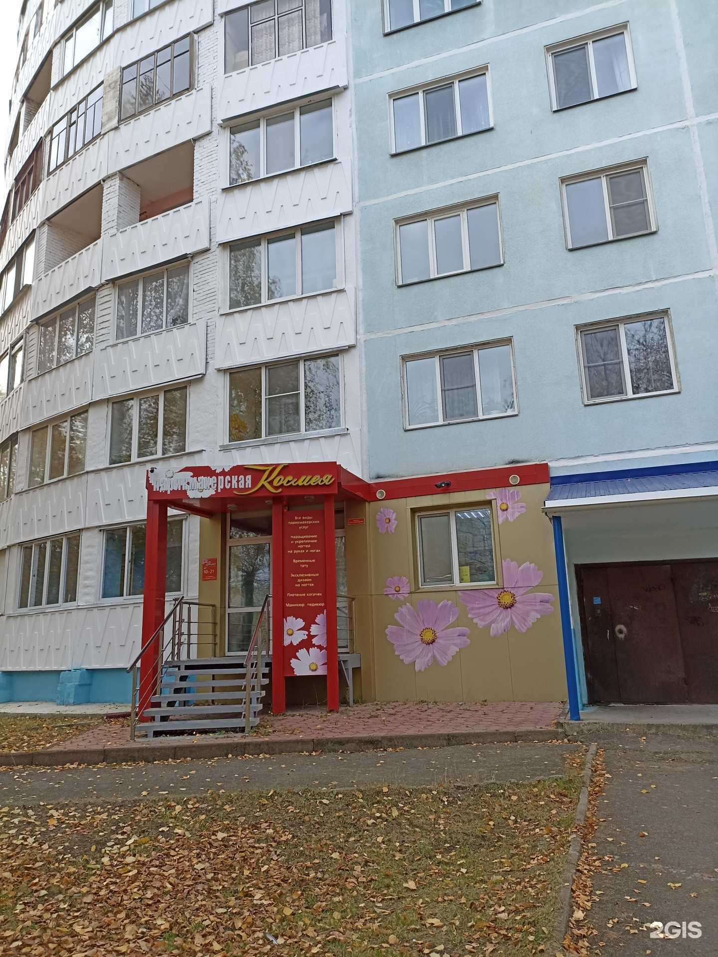 Отзывы на компанию Космея в Сосновоборске c фото