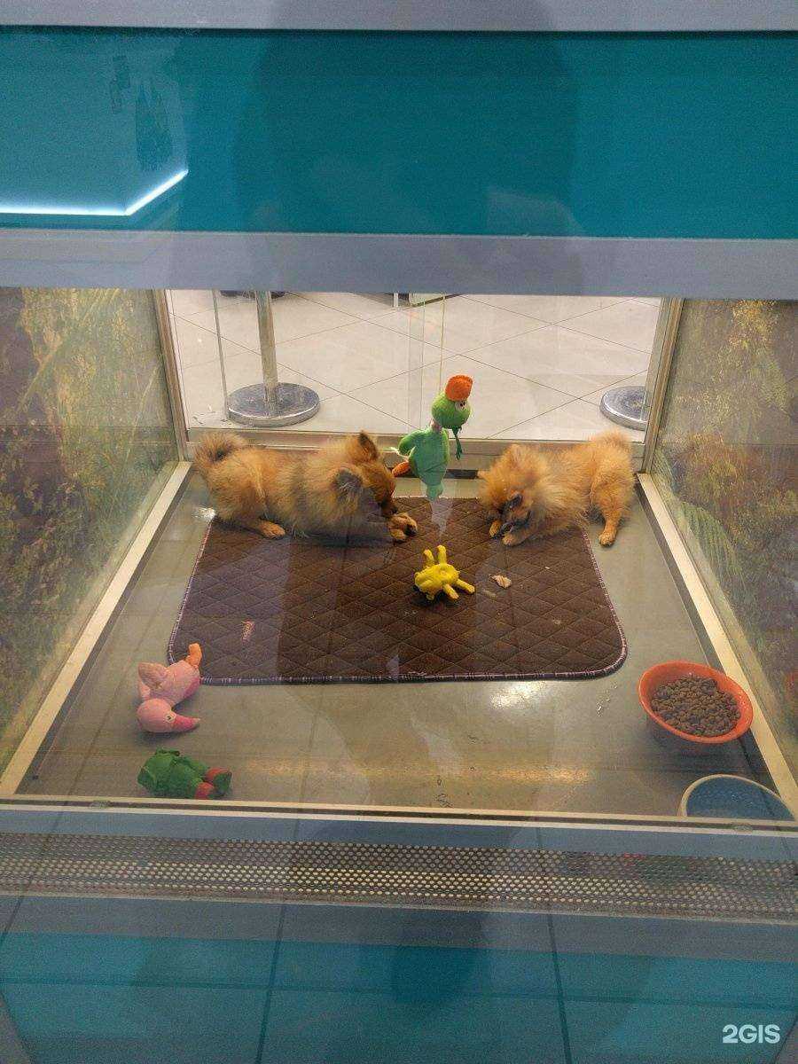 Отзывы на компанию Бетховен в г. Коммунарка c фото