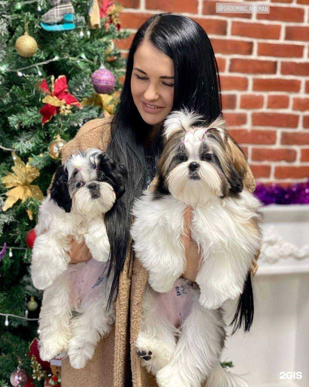 Отзывы на компанию Aksman в г. Шахты c фото