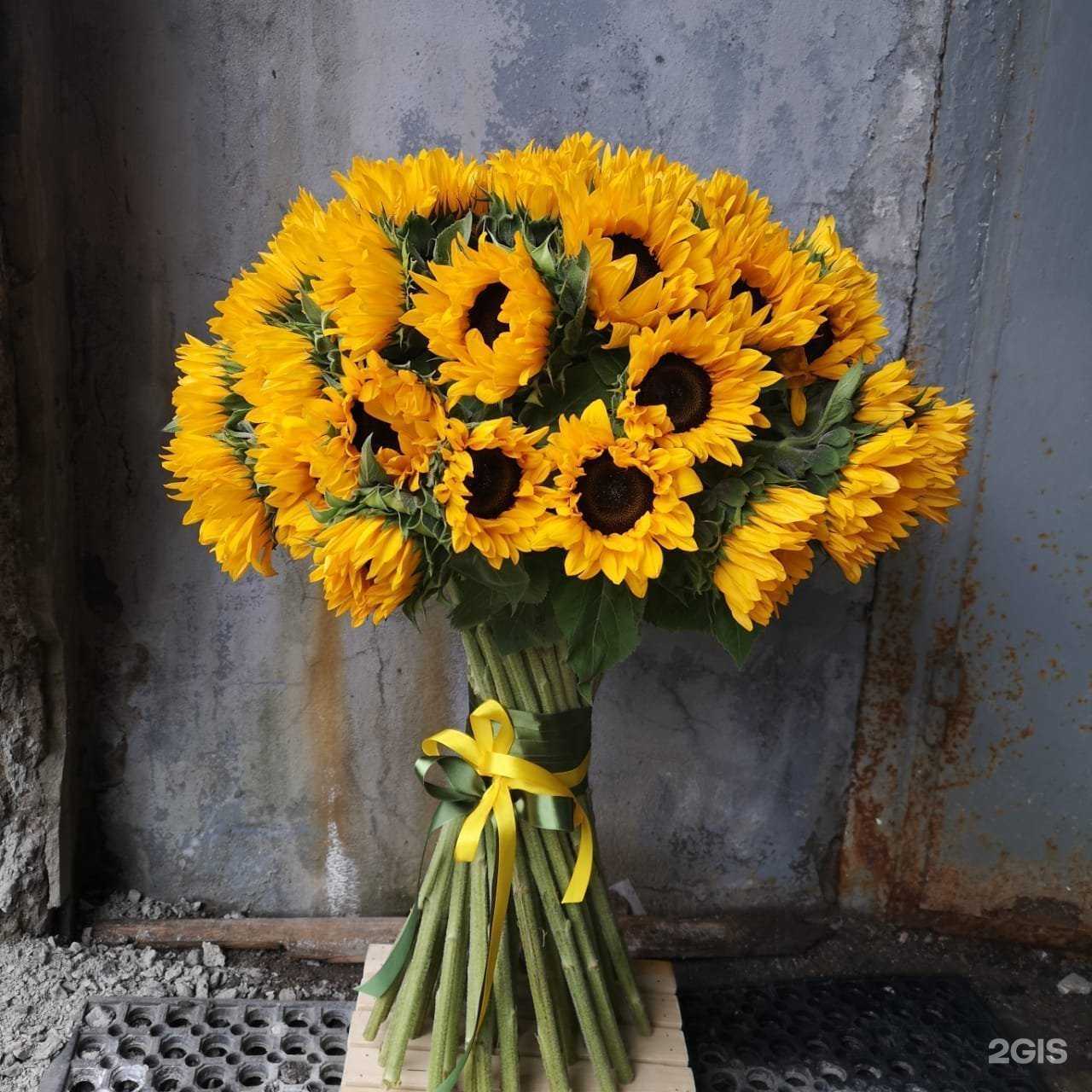 Отзывы на компанию Одуванчик в г. Красногорск c фото