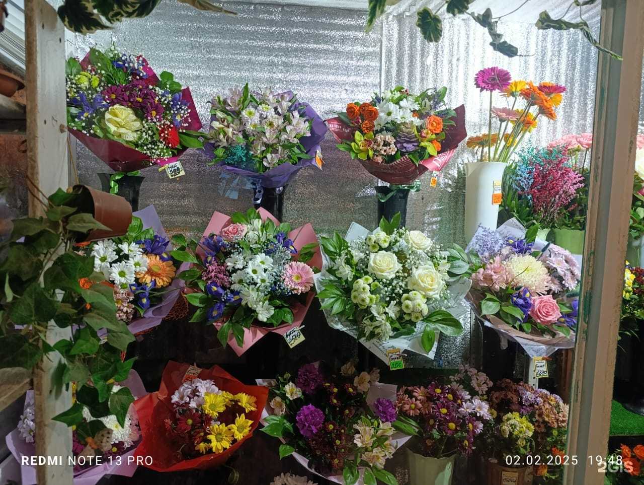 Отзывы на компанию Надежда в Астрахани c фото