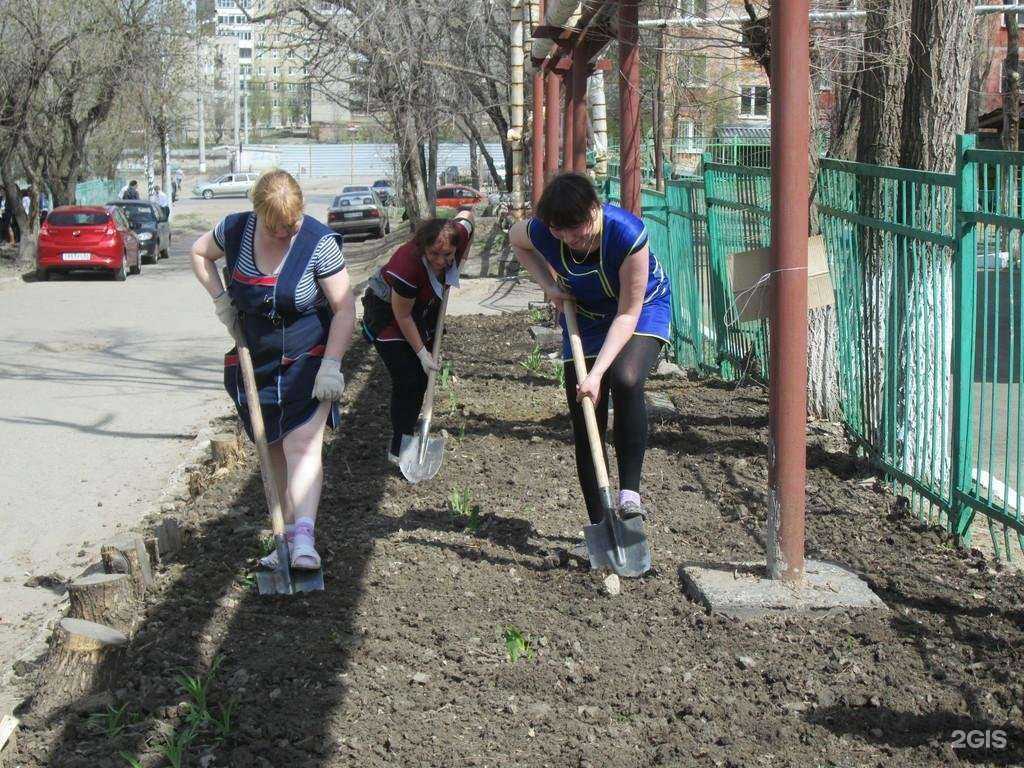 Отзывы на компанию Ягодка в Саратове c фото