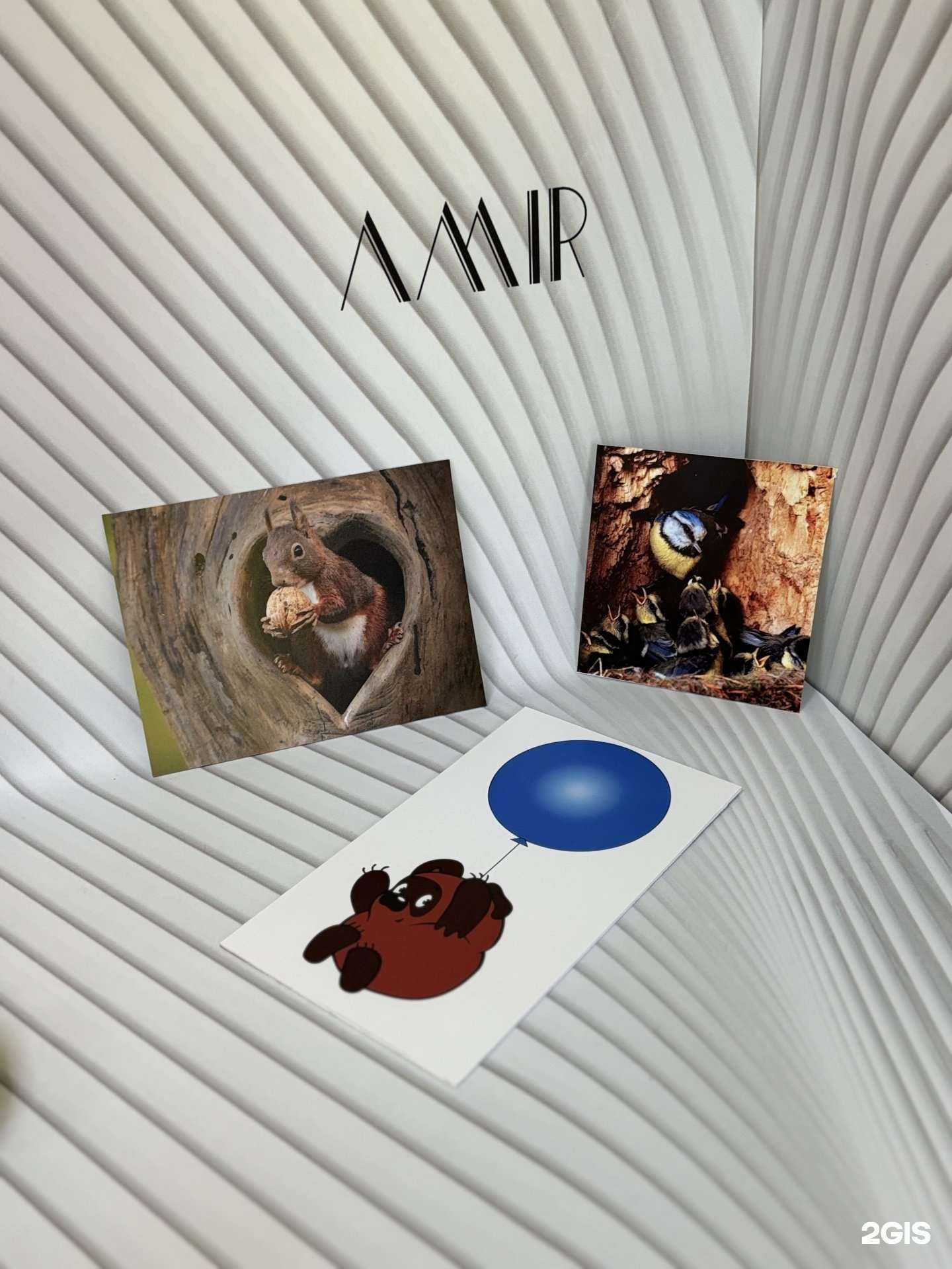 Отзывы на компанию Амир в г. Иваново c фото