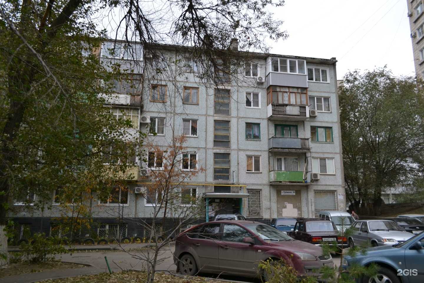 Отзывы на компанию Зоомагазин в Волгограде c фото - фотография 2 из 2