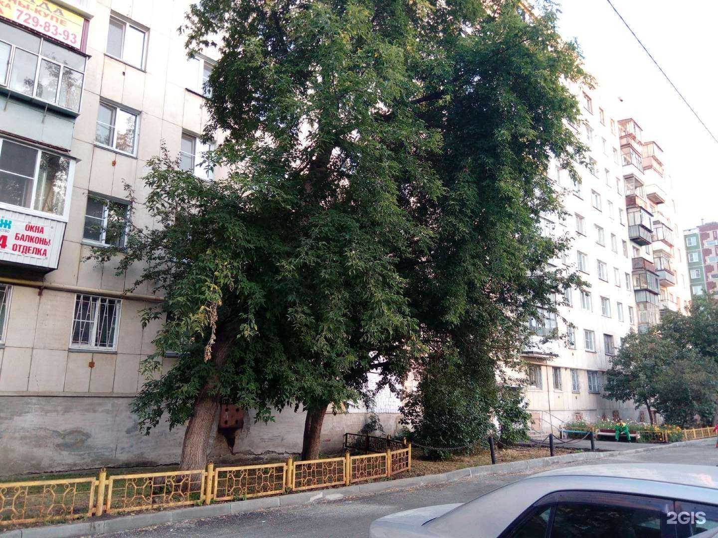 Отзывы на компанию СберСтрахование в Челябинске c фото - фотография 2 из 2