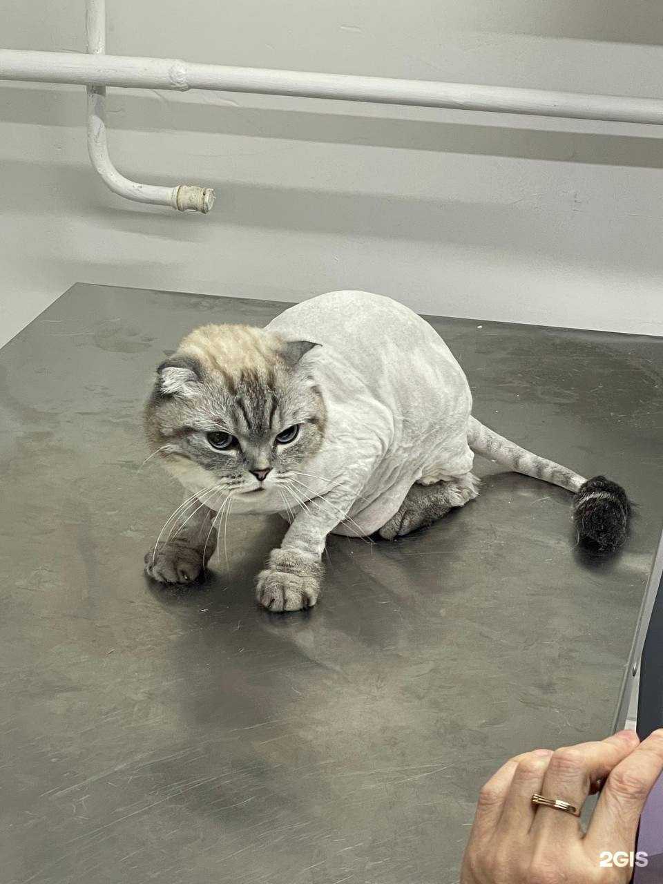 Отзывы на компанию Симба+ в Уфе c фото