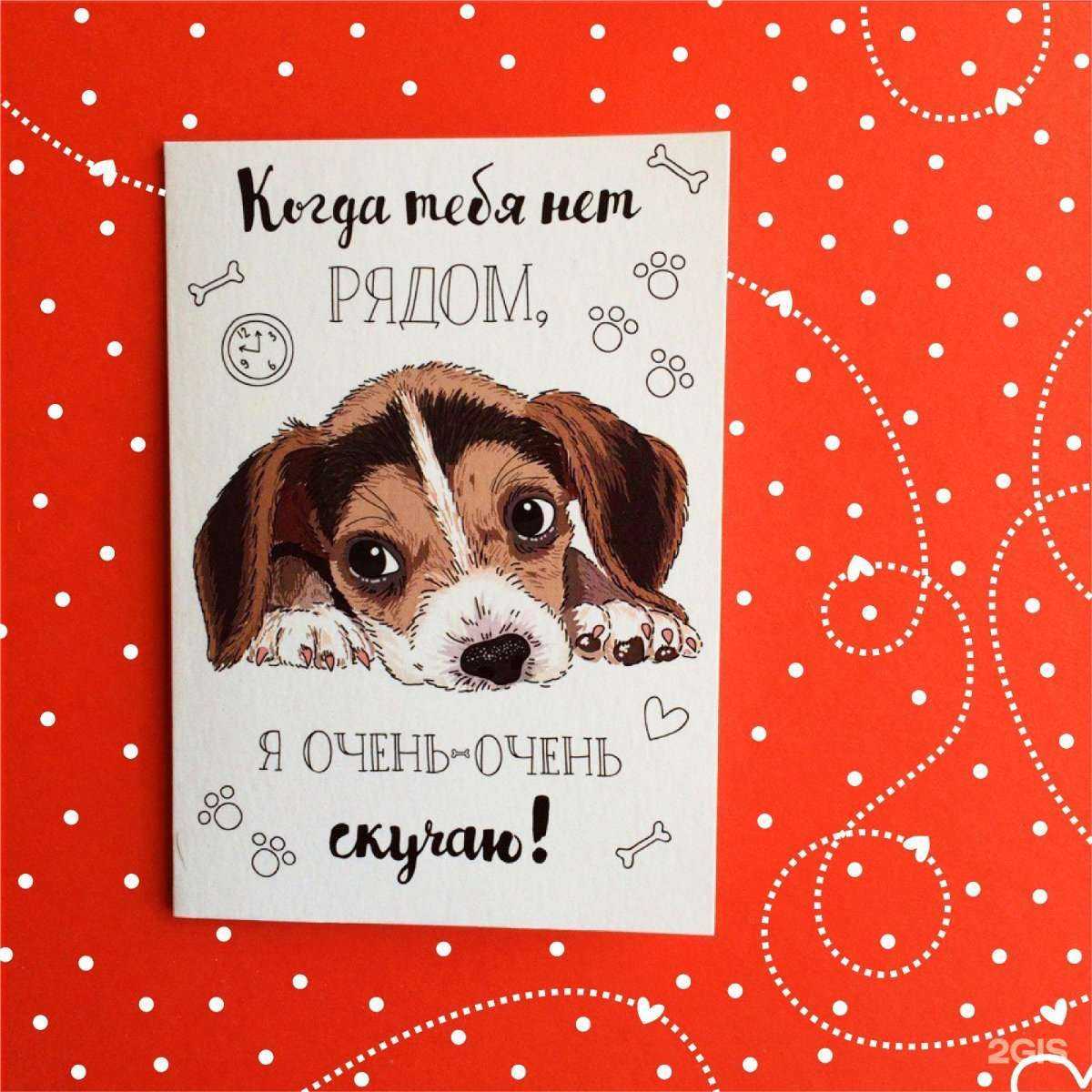 Отзывы на компанию Пеппи в г. Иркутск c фото