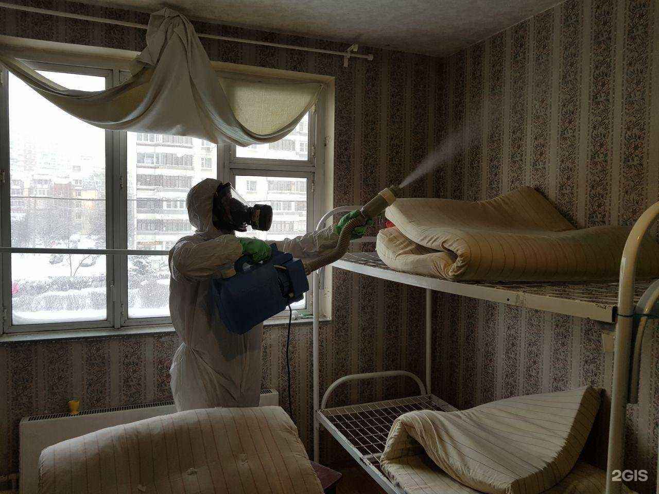 Отзывы на компанию Регион СЭС в г. Оренбург c фото