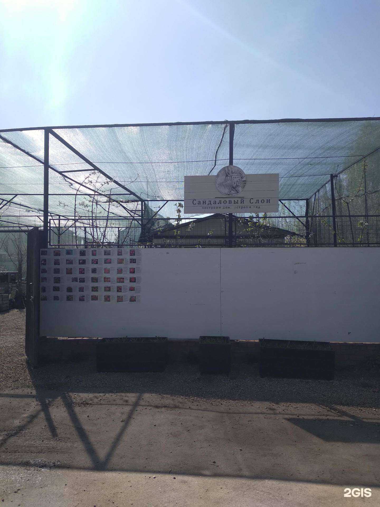 Отзывы на компанию Сандаловый слон в Энгельсе c фото