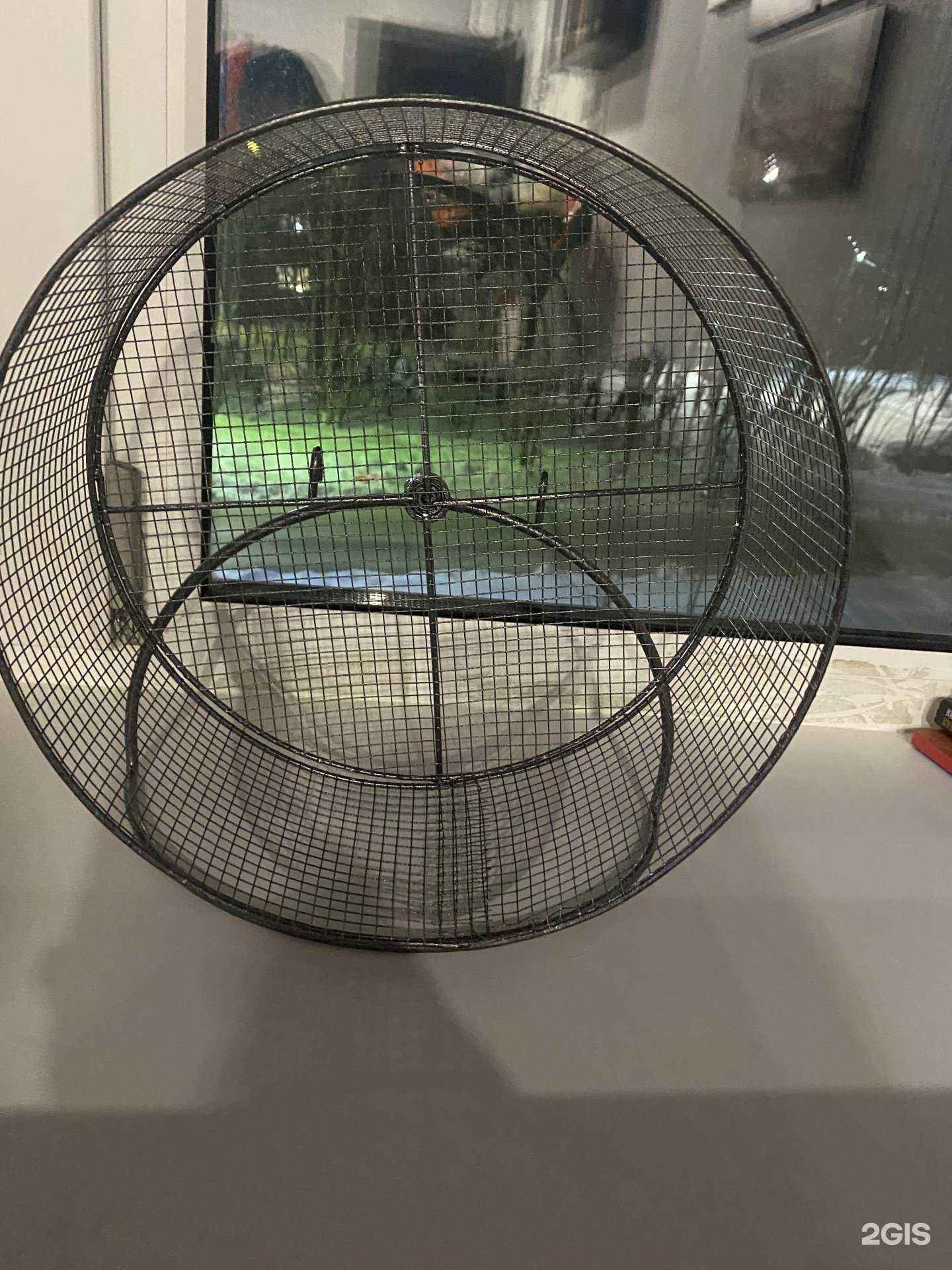 Отзывы на компанию Зоосфера в Мурманске c фото