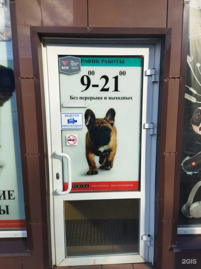 Отзывы на компанию ВертиХвостики в Магнитогорске c фото