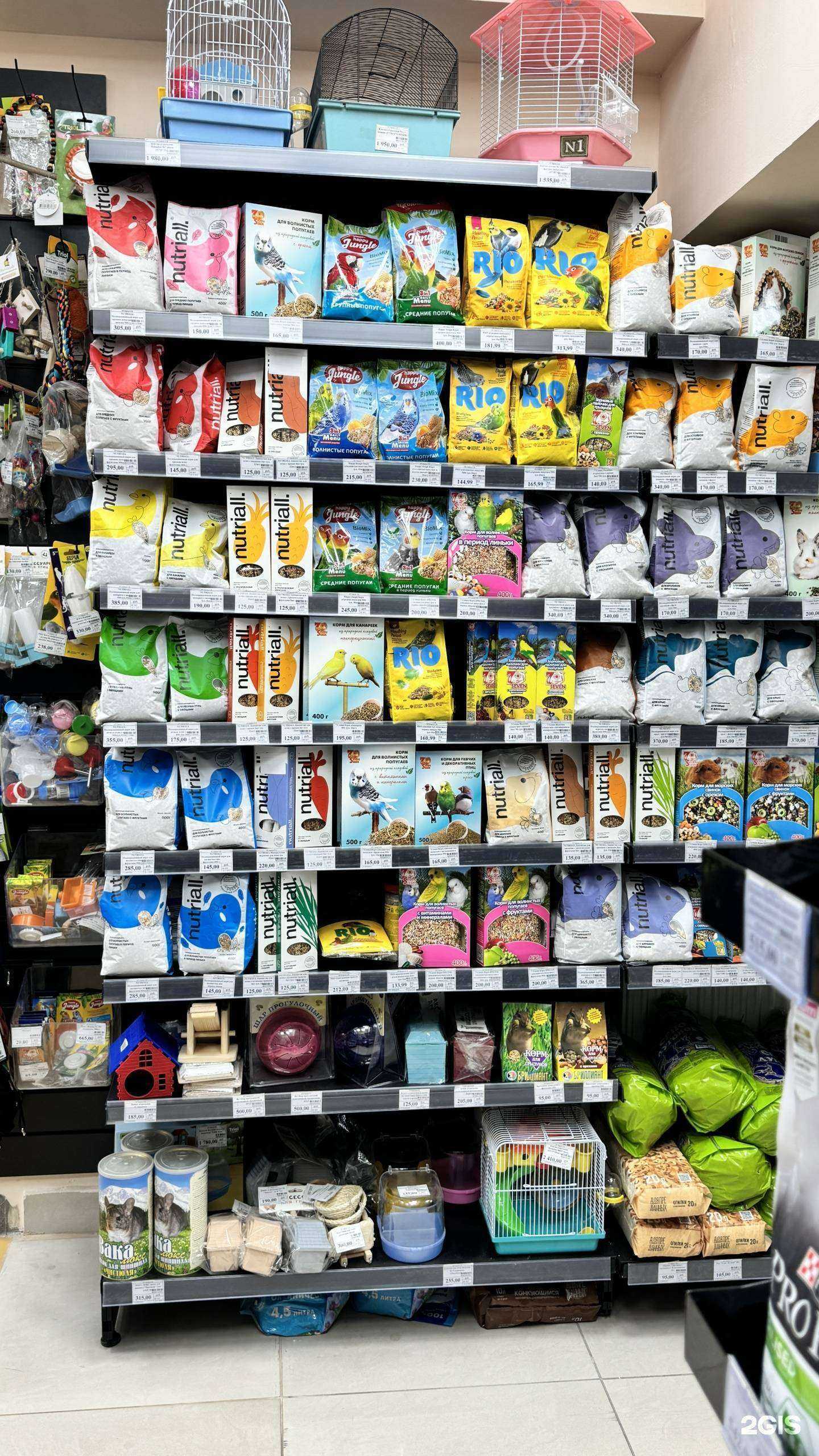 Отзывы на компанию Зоомир в Майкопе c фото