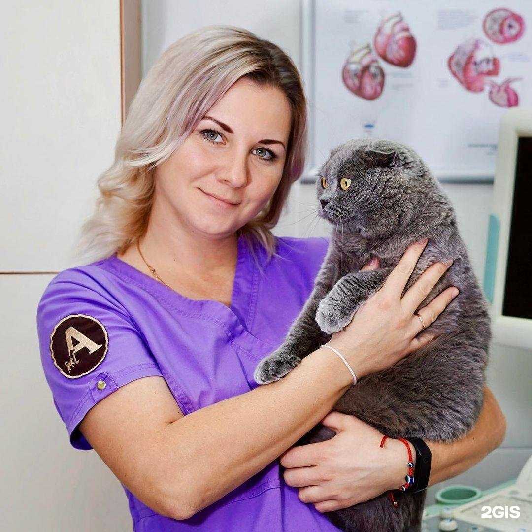 Отзывы на компанию Айболит в г. Грозный c фото