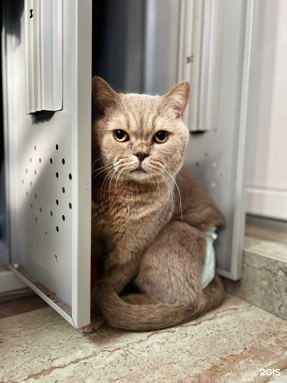 Отзывы на компанию Милосердие в Калининграде c фото