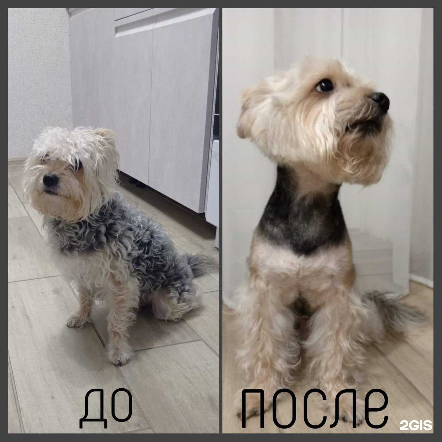 Отзывы на компанию Чуча в г. Краснодар c фото