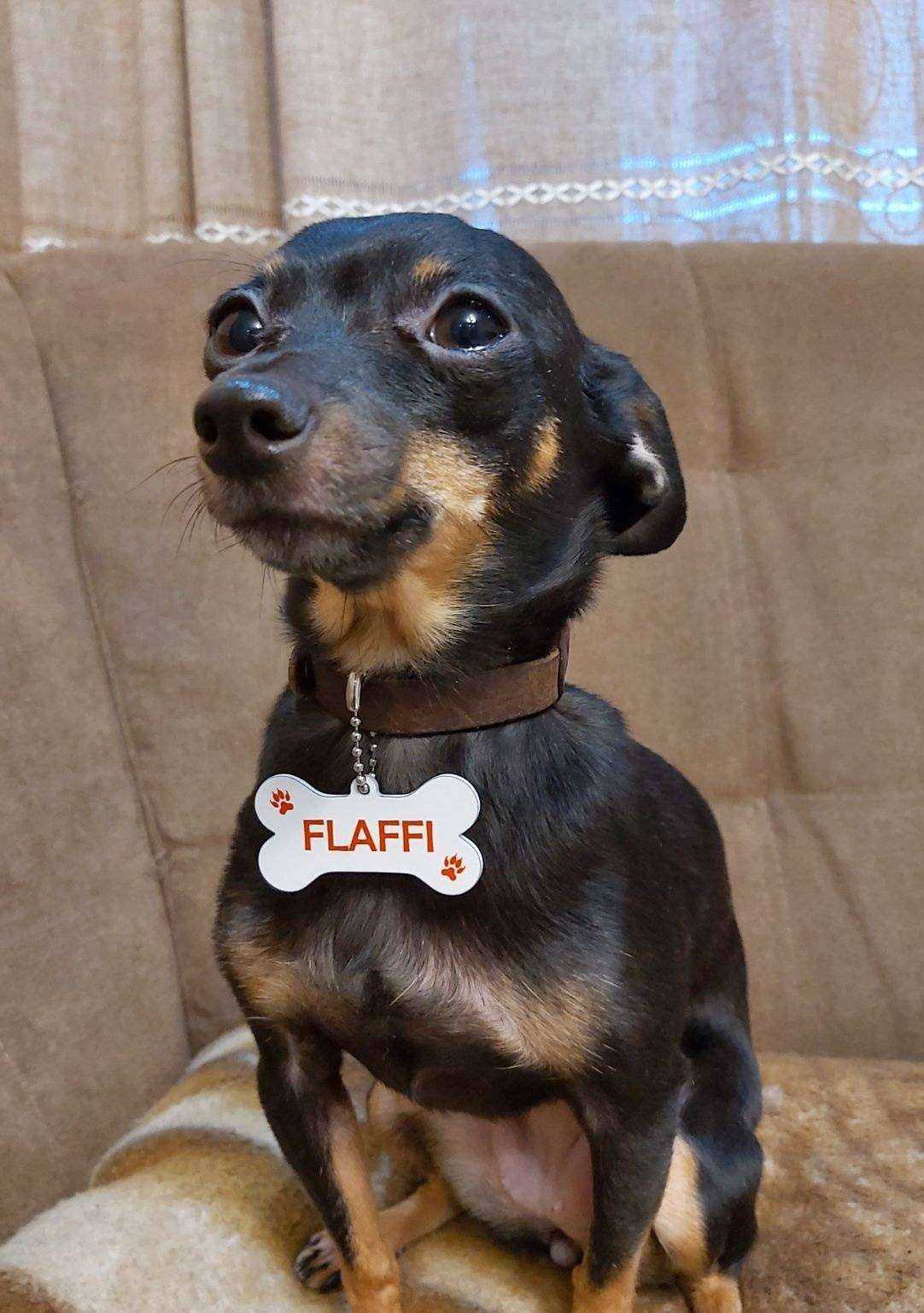 Отзывы на компанию Печатный двор в г. Чита c фото