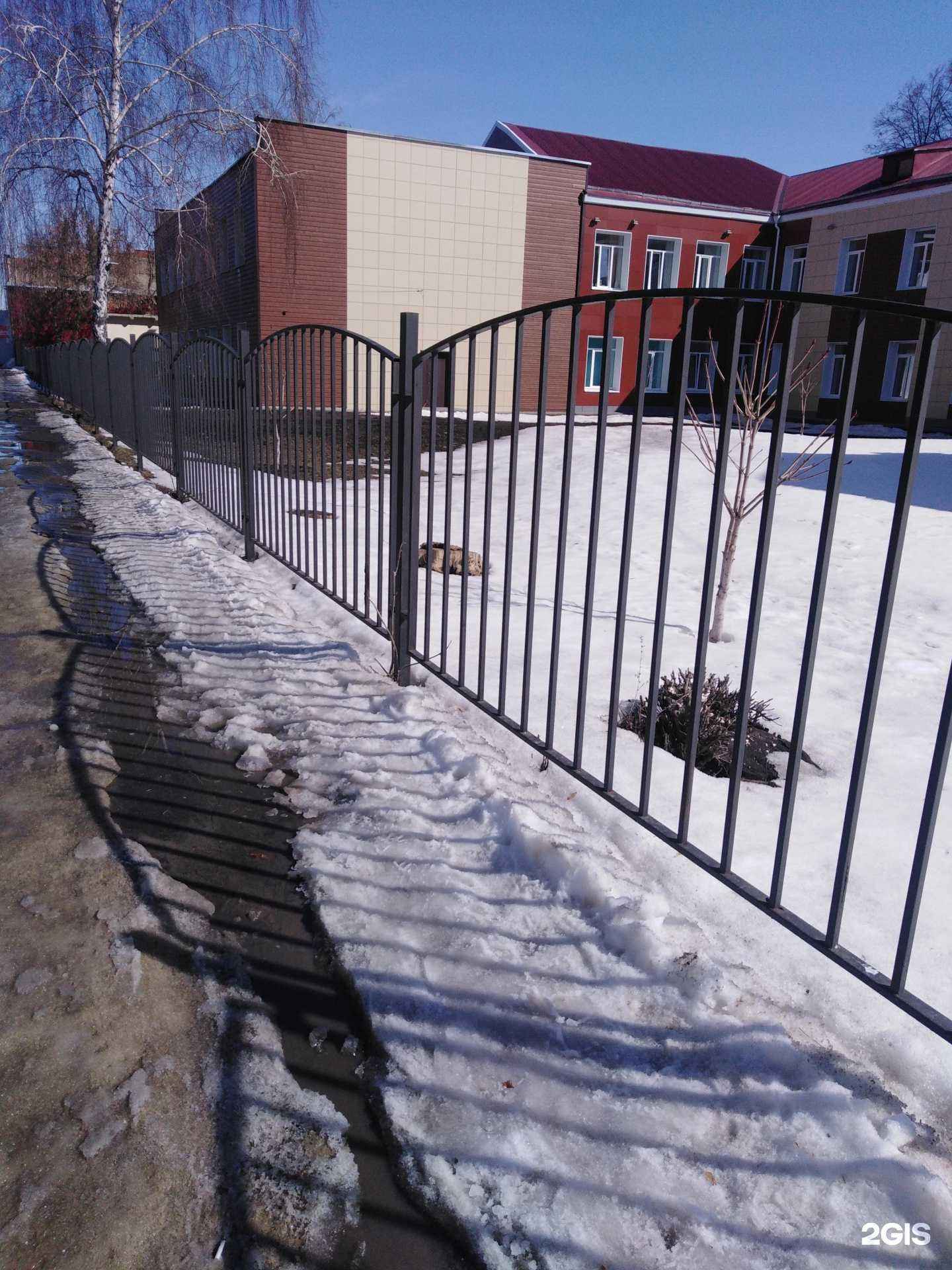 Отзывы на компанию Спортивная школа им. С.Л. Поликарпова в г. Тамбов c фото