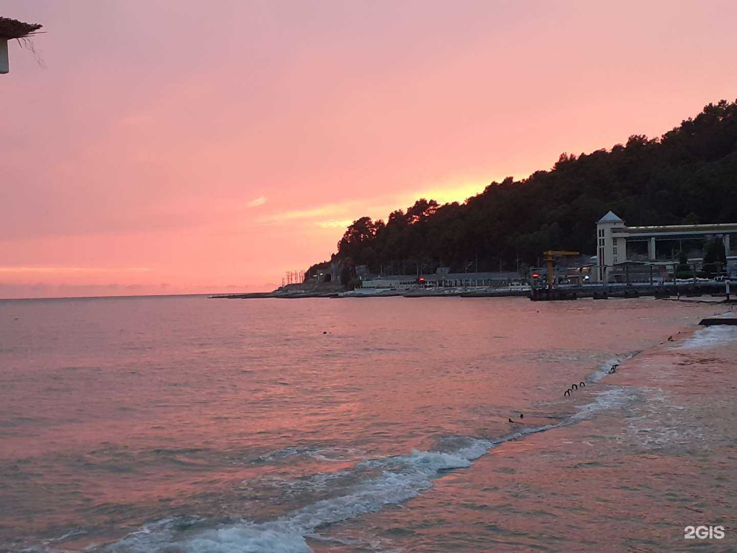 Отзывы на компанию Кит в Сочи c фото