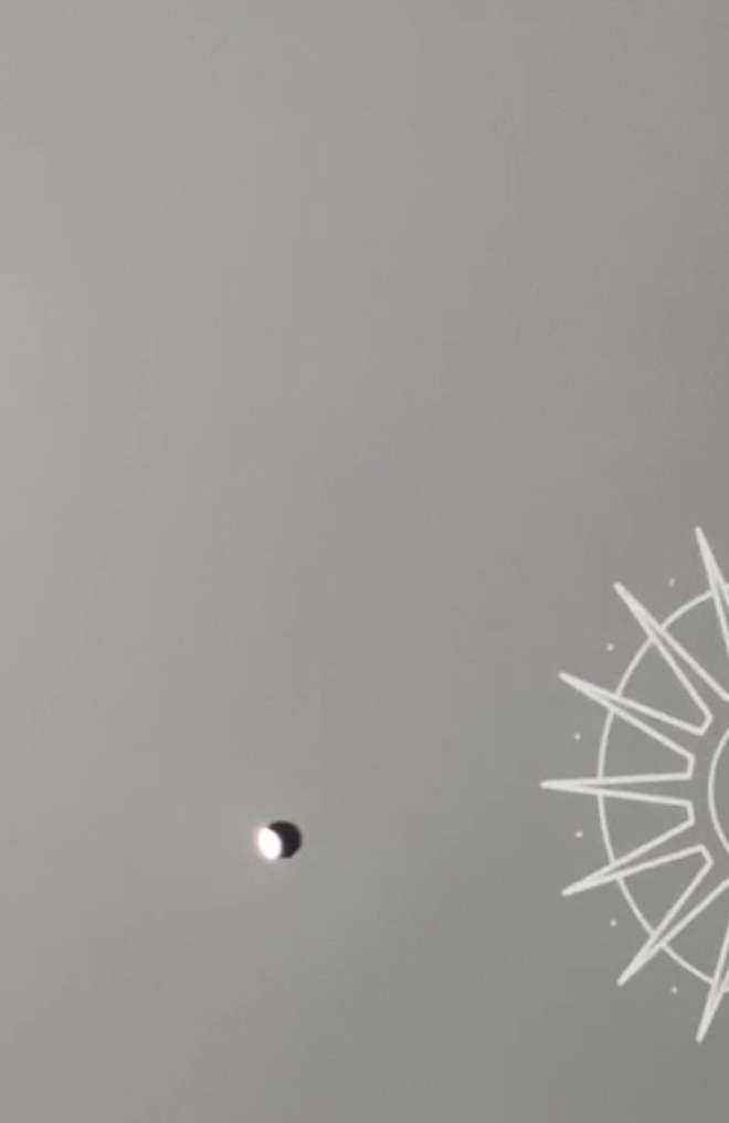 Отзывы на компанию Protelo в г. Петрозаводск c фото