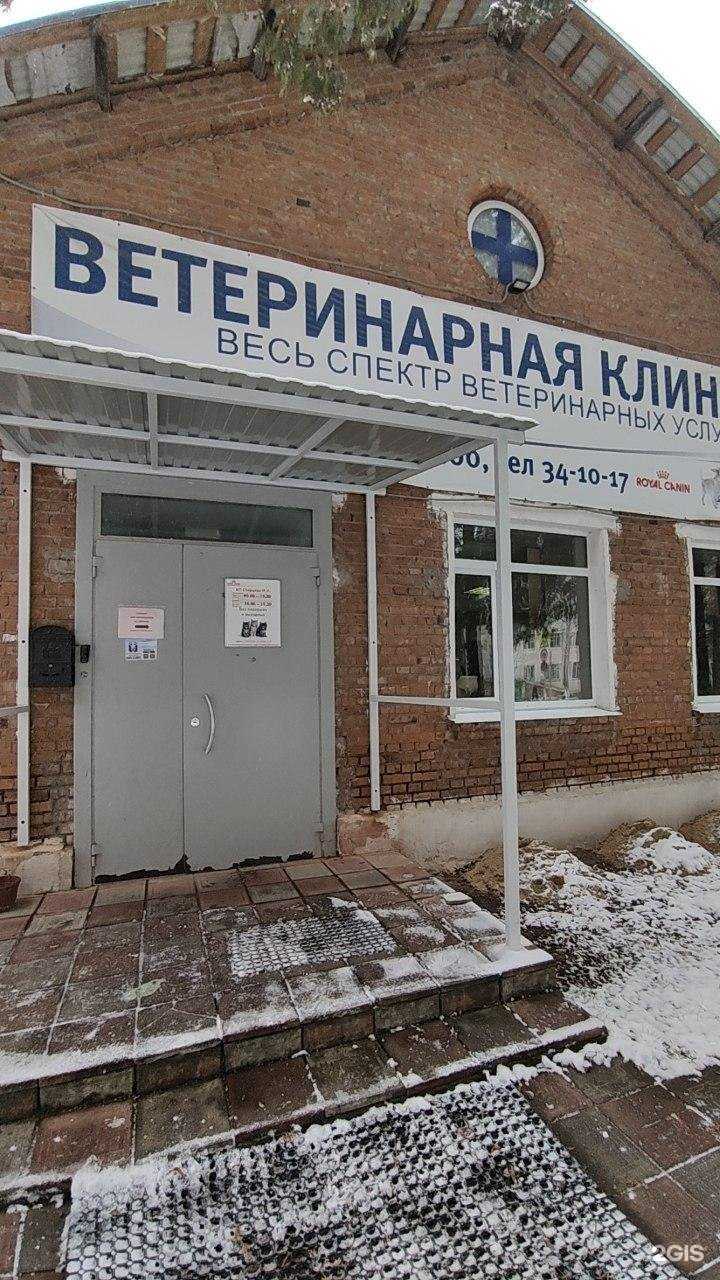 Отзывы на компанию Флора и Лавра в г. Протвино c фото