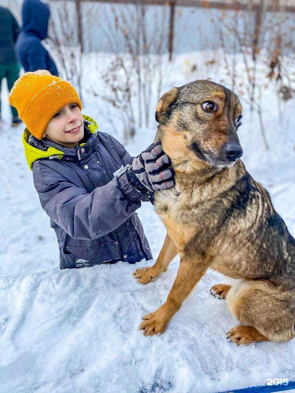 Отзывы на компанию Хатико в г. Челябинск c фото