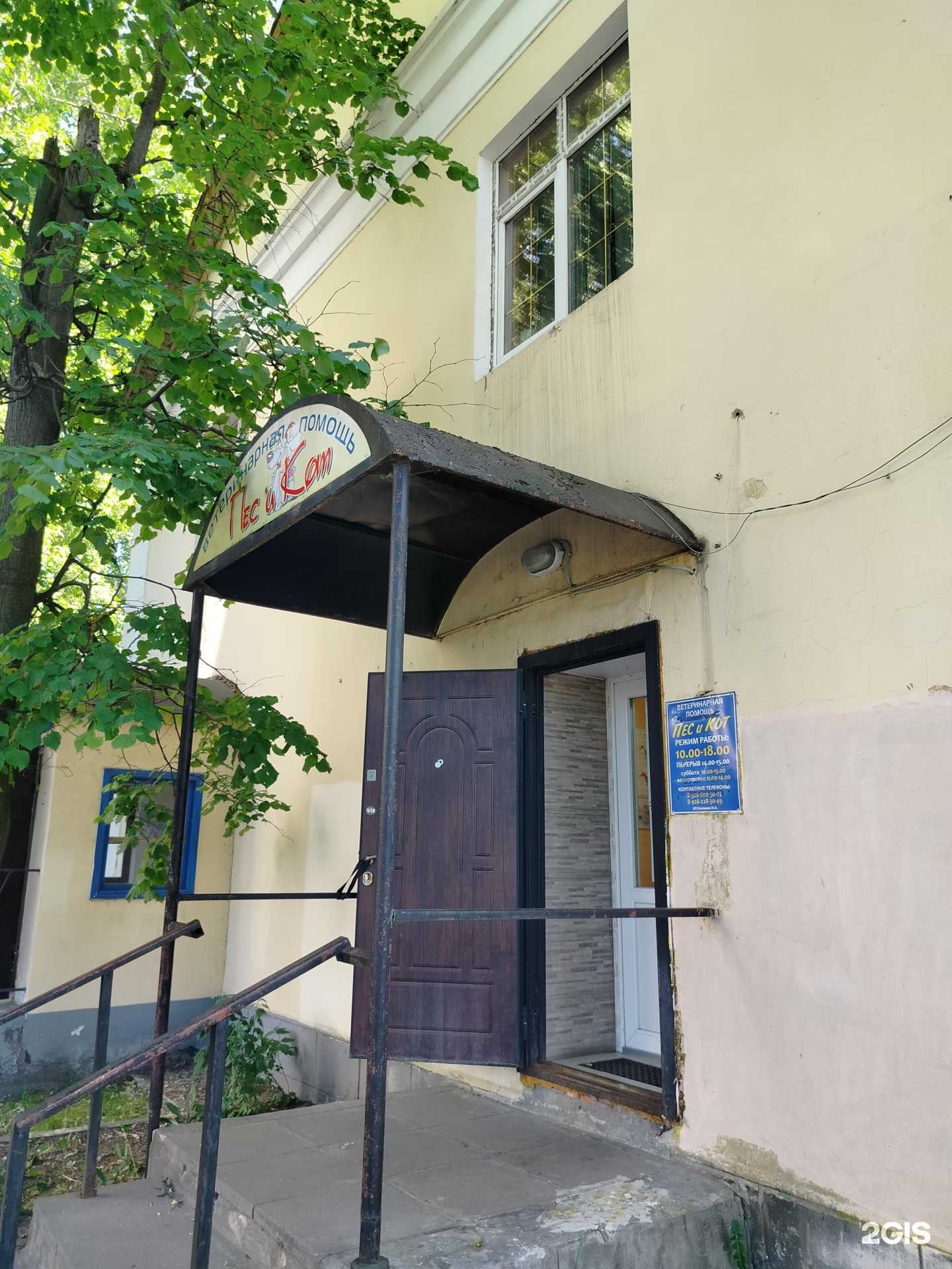 Отзывы на компанию Пес и кот в г. Орехово-Зуево c фото