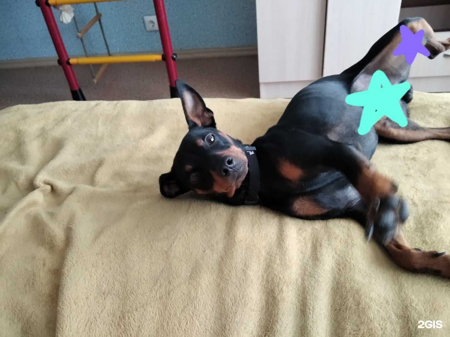 Отзывы на компанию ЖИВАГО в Омске c фото