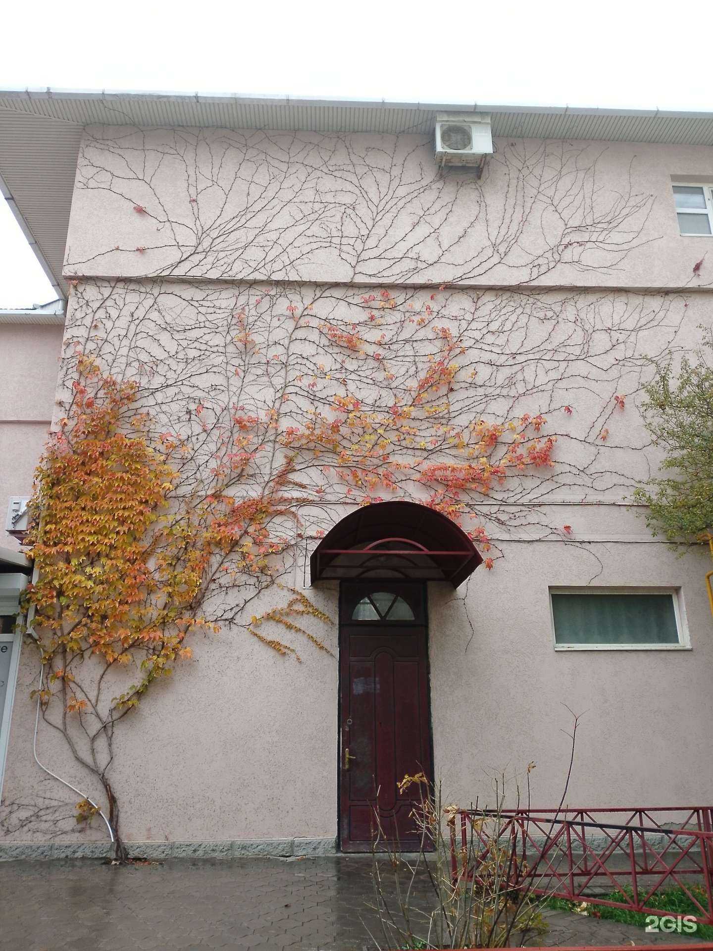 Отзывы на компанию Dancemore в Анапе c фото