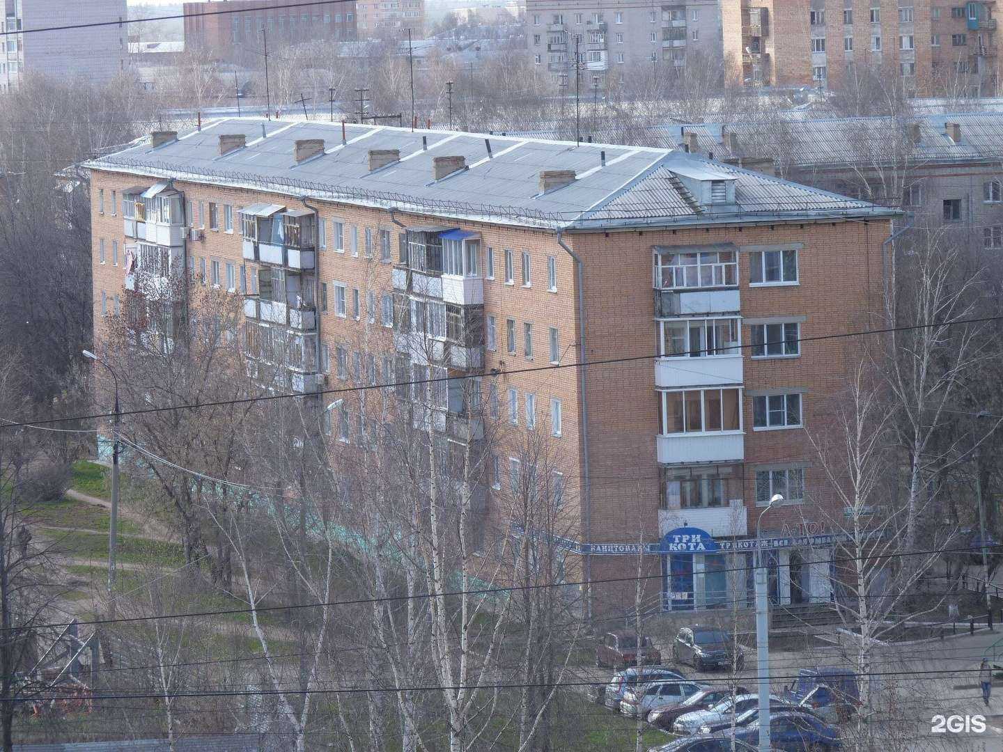 Отзывы на компанию Три кота в Ижевске c фото - фотография 2 из 2