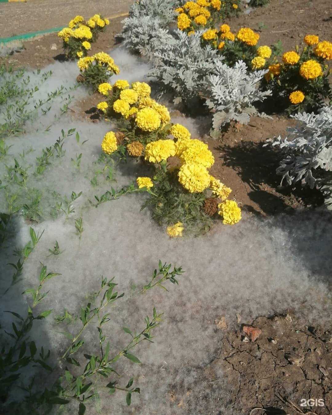 Отзывы на компанию Стриж в г. Вольск c фото