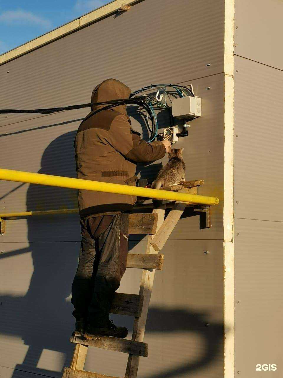 Отзывы на компанию ИТК Флекс в Якутске c фото