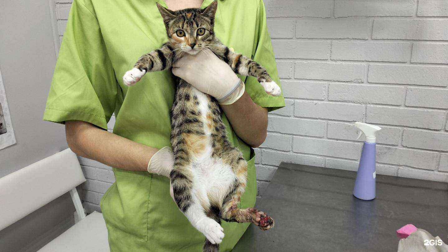 Отзывы на компанию Добрый доктор в г. Реутов c фото