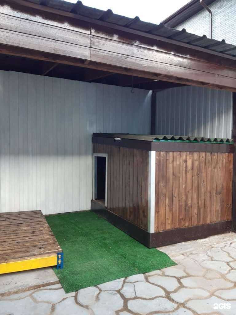 Отзывы на компанию Vipdog в Балашихе c фото