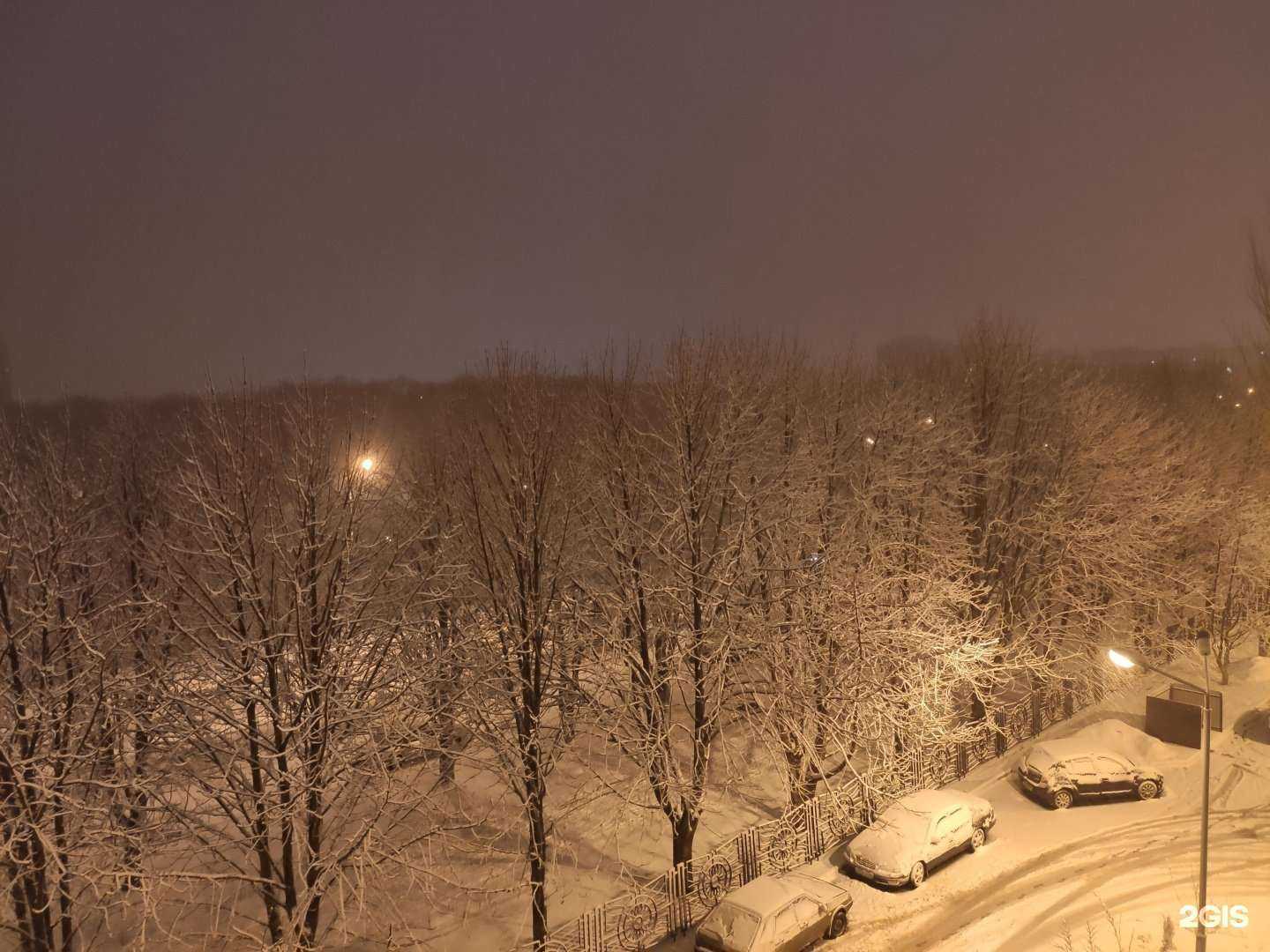 Отзывы на компанию Кроха в Белгороде c фото - фотография 2 из 2