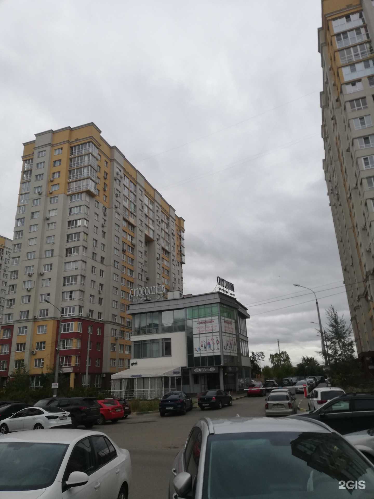 Отзывы на компанию Dioma-centre в Нижнем Новгороде c фото