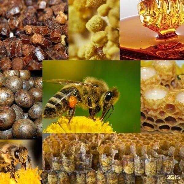 Отзывы на компанию Традиции здоровья в Саратове c фото