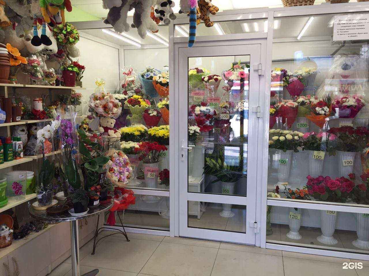 Отзывы на компанию Роксолана в Новосибирске c фото