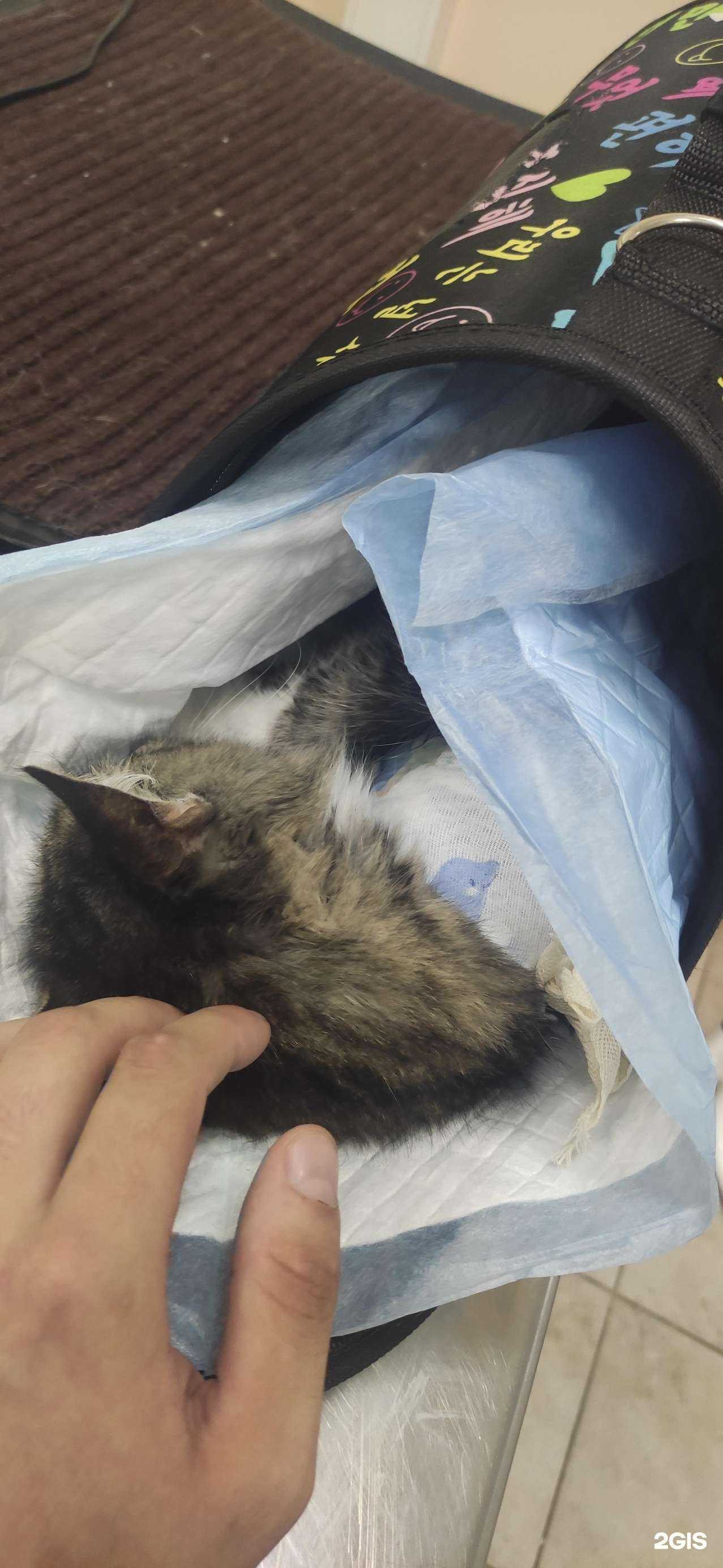 Отзывы на компанию Vetuchastok.ru в Лобне c фото