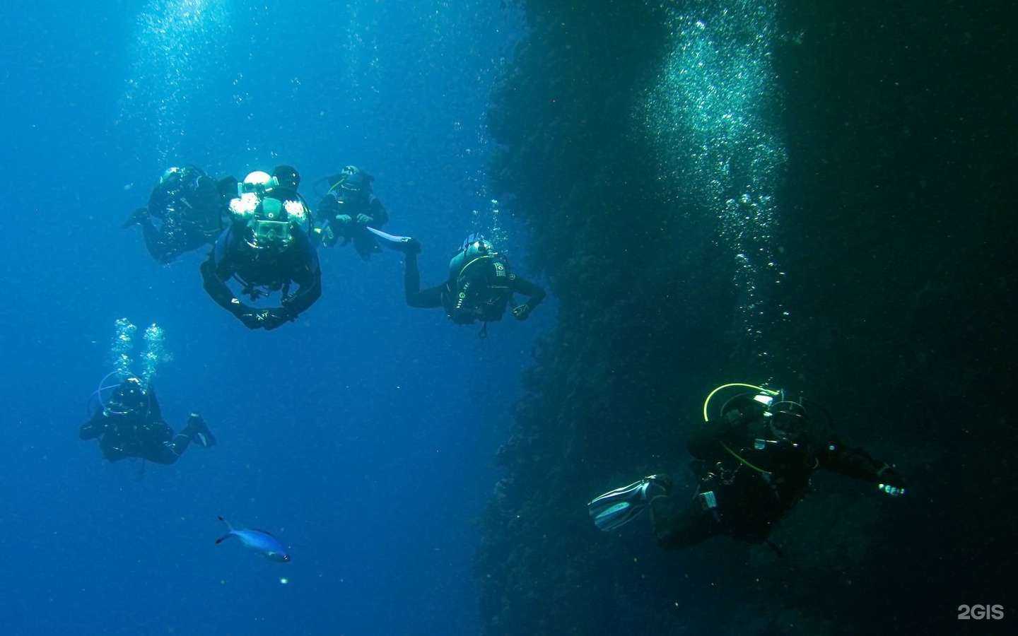 Отзывы на компанию Липецкий подводный клуб в Липецке c фото