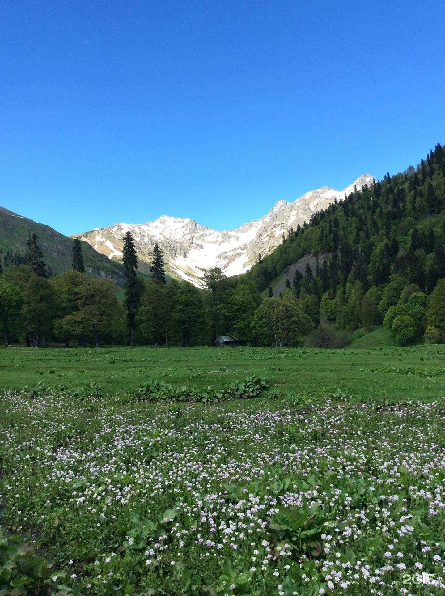 Отзывы на компанию Ganesha в Лобне c фото