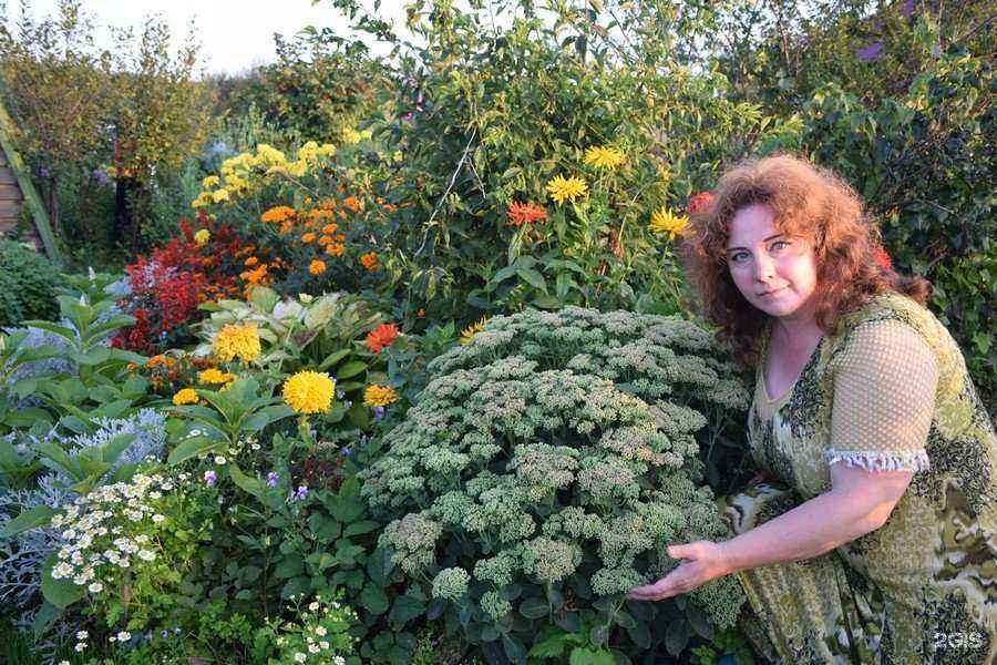 Отзывы на компанию Сияние в г. Новокузнецк c фото