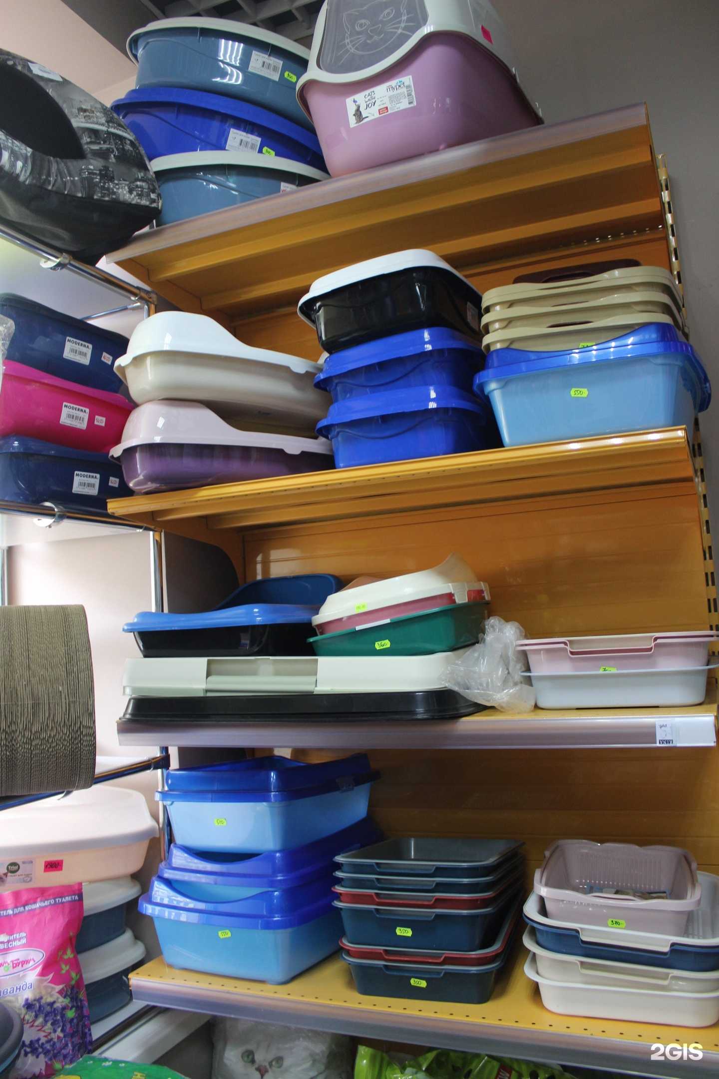 Отзывы на компанию Мистер Ошейников в Перми c фото