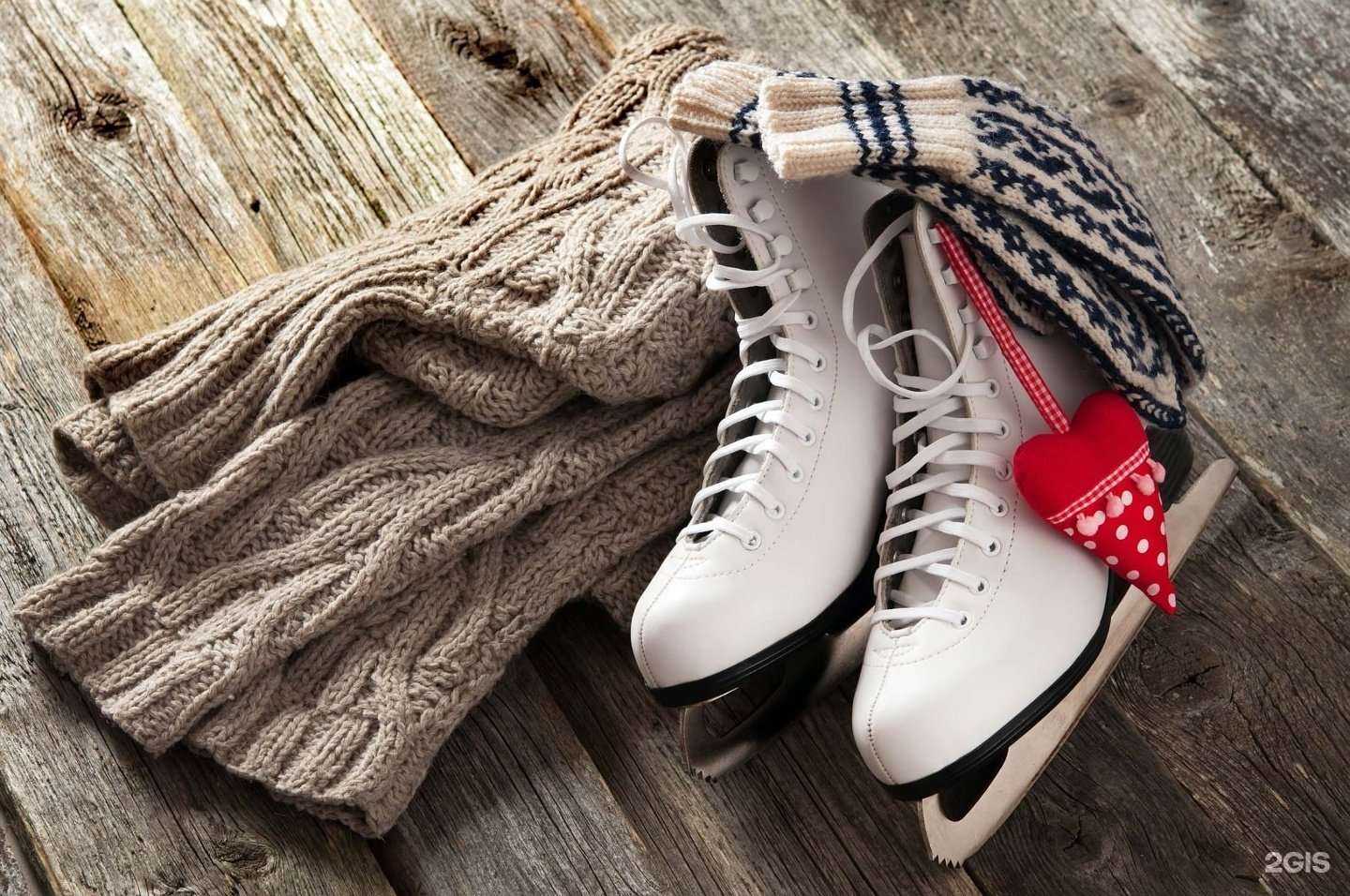 Отзывы на компанию Ледовая Арена в г. Орёл c фото