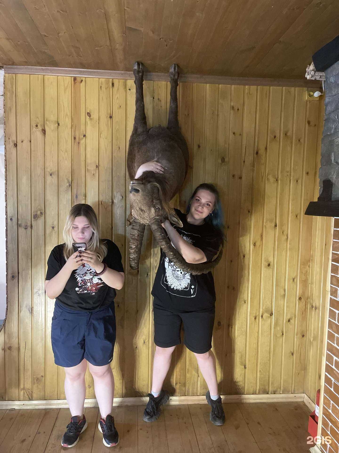 Отзывы на компанию Дом вверх дном в г. Новосибирск c фото