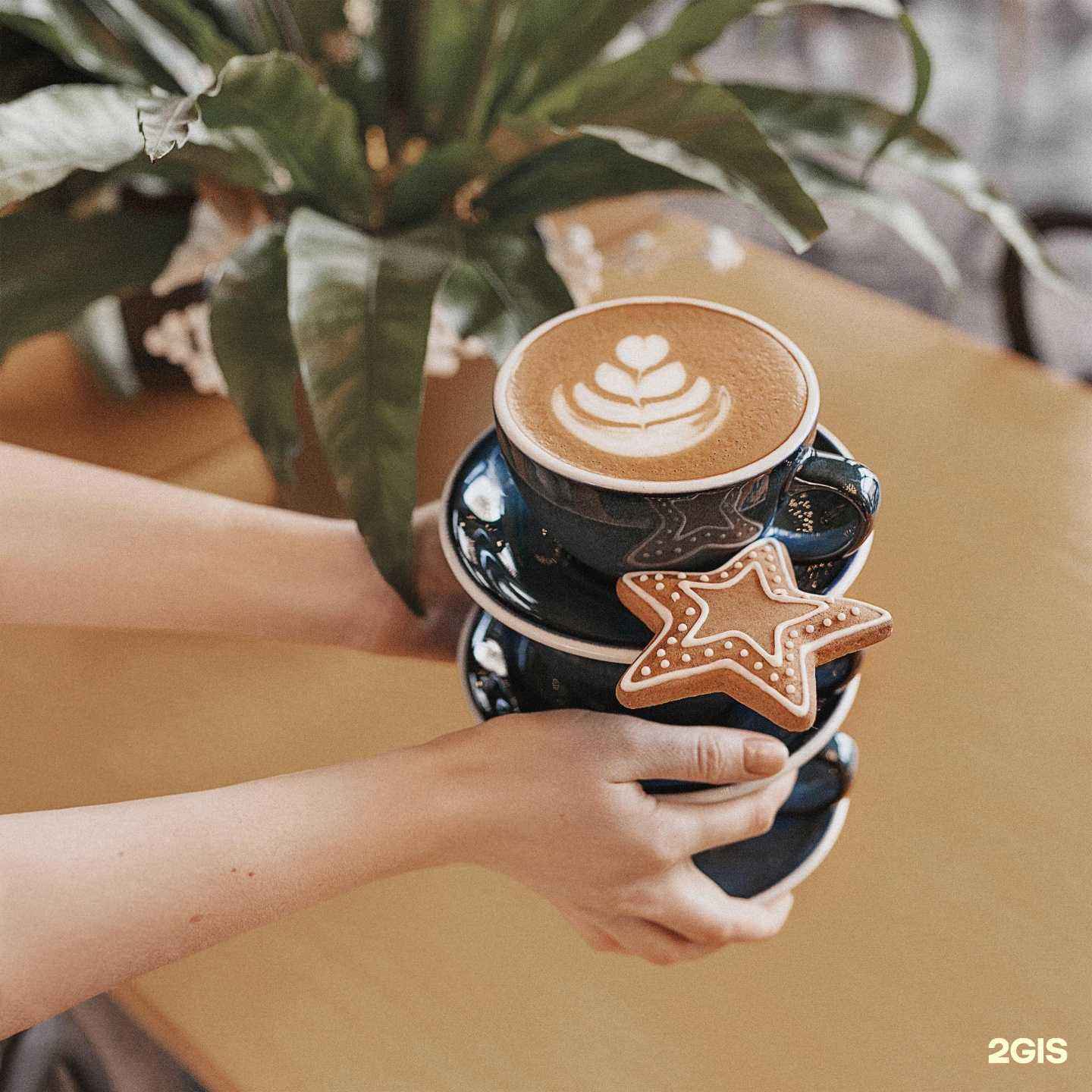 Отзывы на компанию Garden Coffee в Тюмени c фото